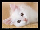 аватар: Оксана-О23